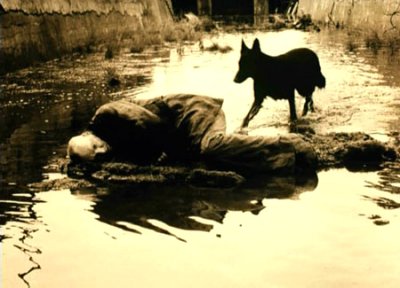 stalker01